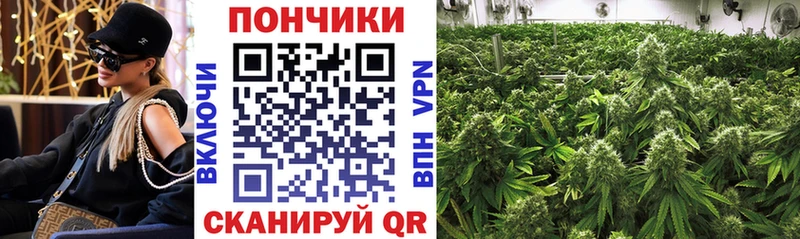 Купить наркотик Рудня Канабис  Мефедрон 