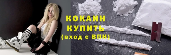 мдпв Кодинск