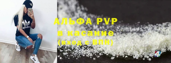 PSILOCYBIN Козельск