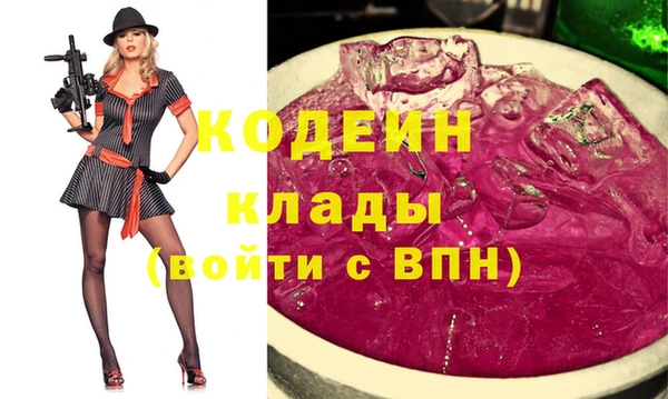 мдпв Кодинск