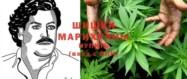 apvp Корсаков