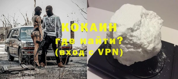 мдпв Кодинск