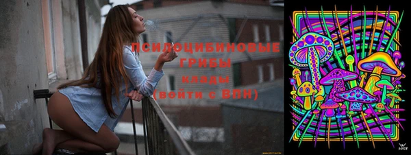 PSILOCYBIN Козельск