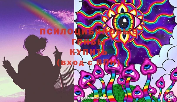 apvp Корсаков