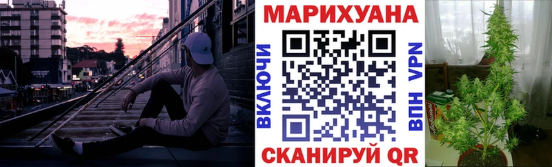 Конопля марихуана Рудня